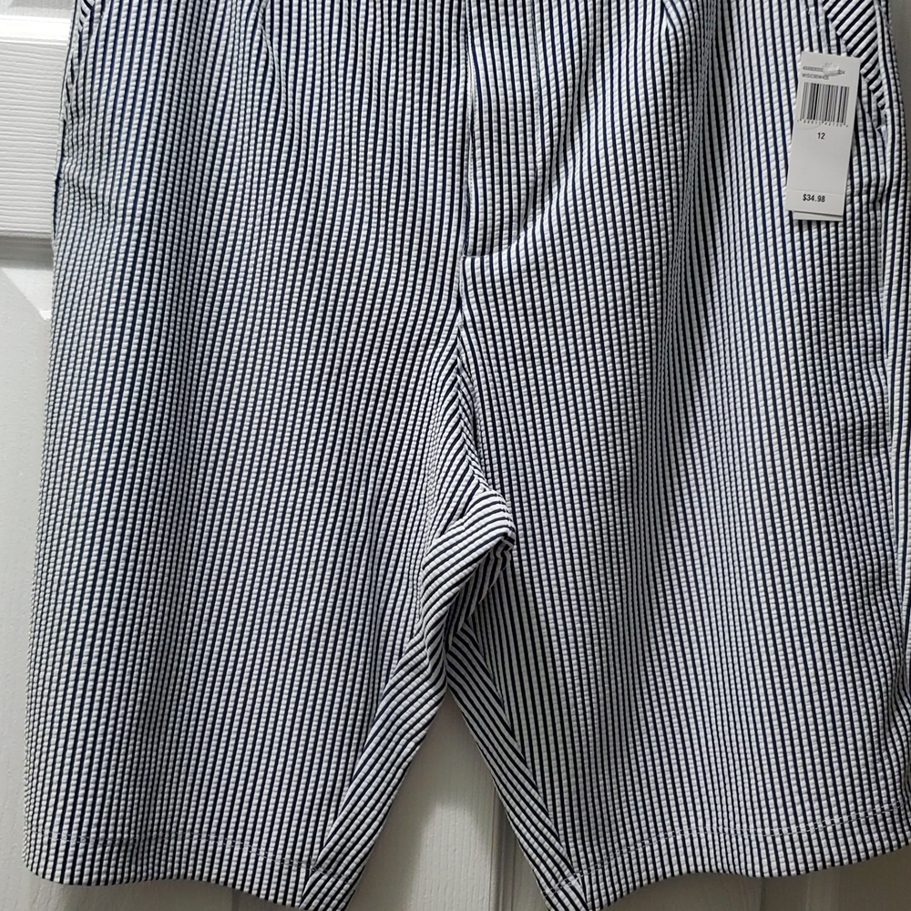 Navy and White Striped Women's Bermuda Shorts